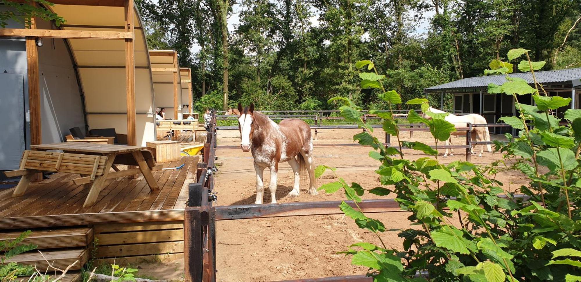 Camping De Reeenwissel Hoogersmilde Bagian luar foto
