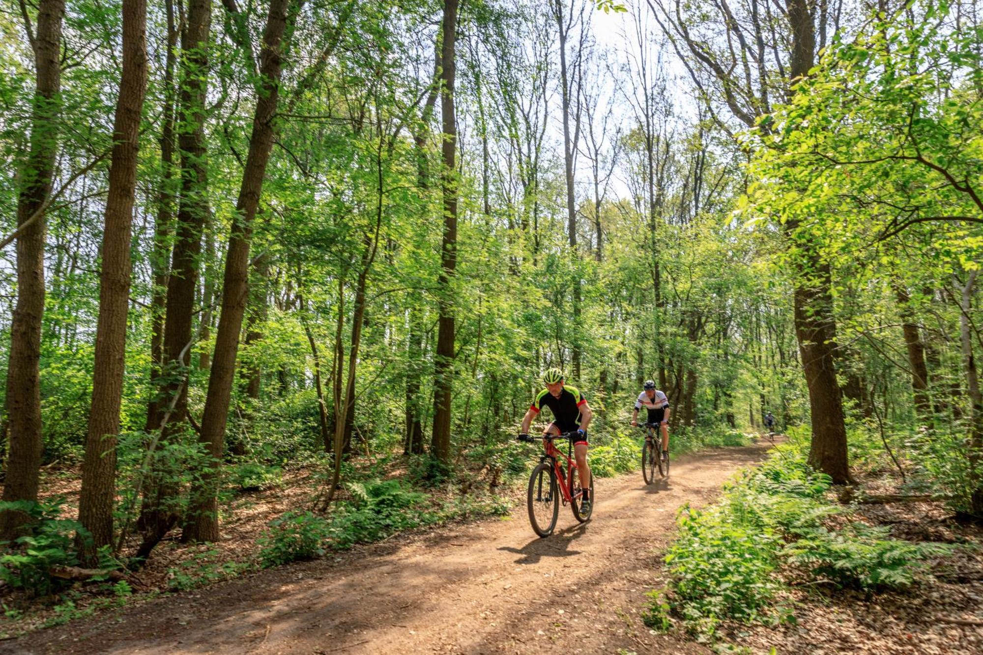 Camping De Reeenwissel Hoogersmilde Bagian luar foto