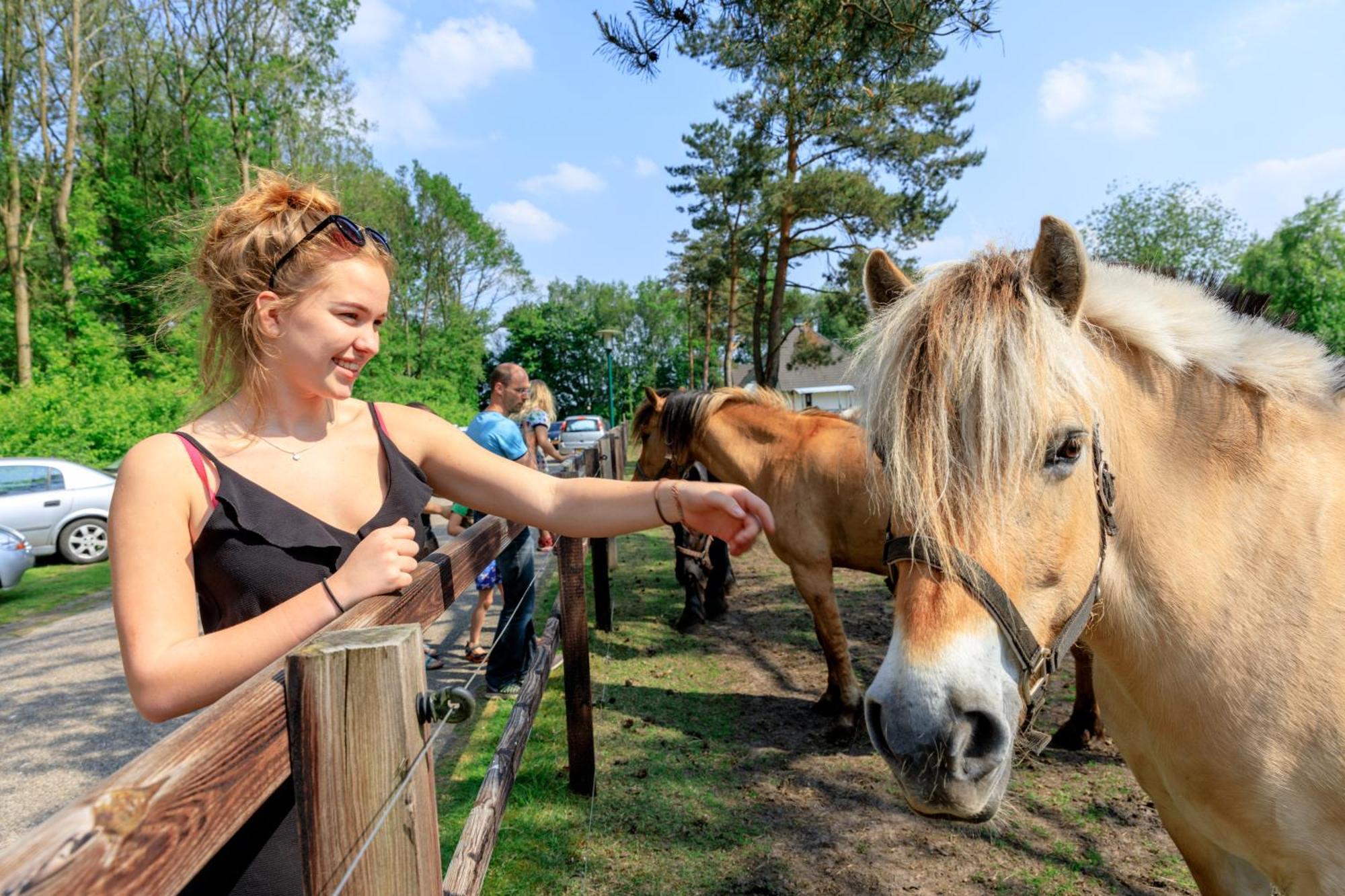 Camping De Reeenwissel Hoogersmilde Bagian luar foto